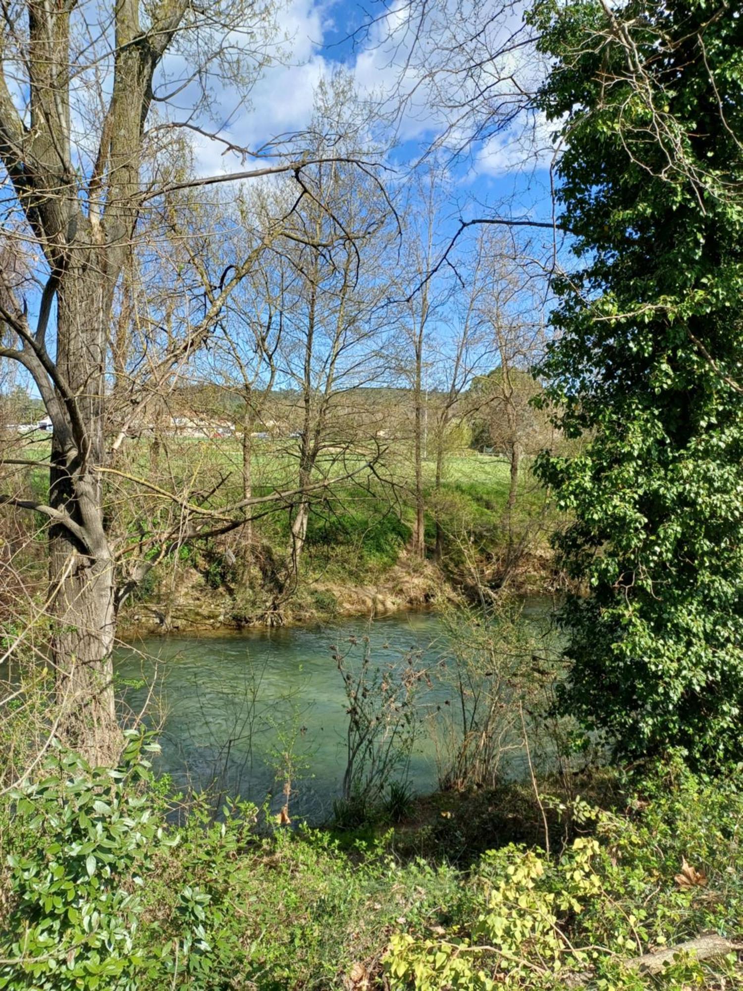 Studio 10M2, Terrasse 18M2 , Parking, Piscine Et Accueille Les Animaux Quissac  Esterno foto